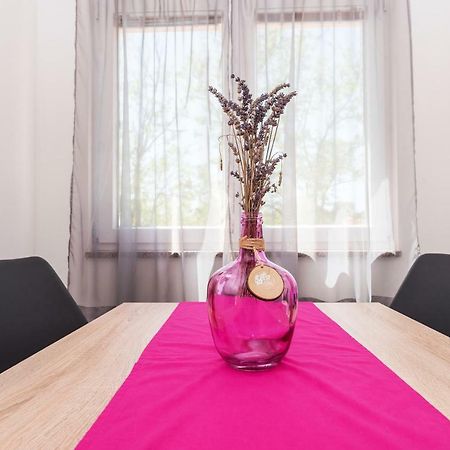 Apartman Micko Privlaka  Εξωτερικό φωτογραφία