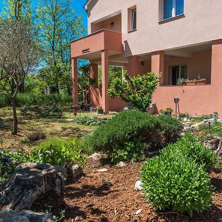 Apartman Micko Privlaka  Εξωτερικό φωτογραφία