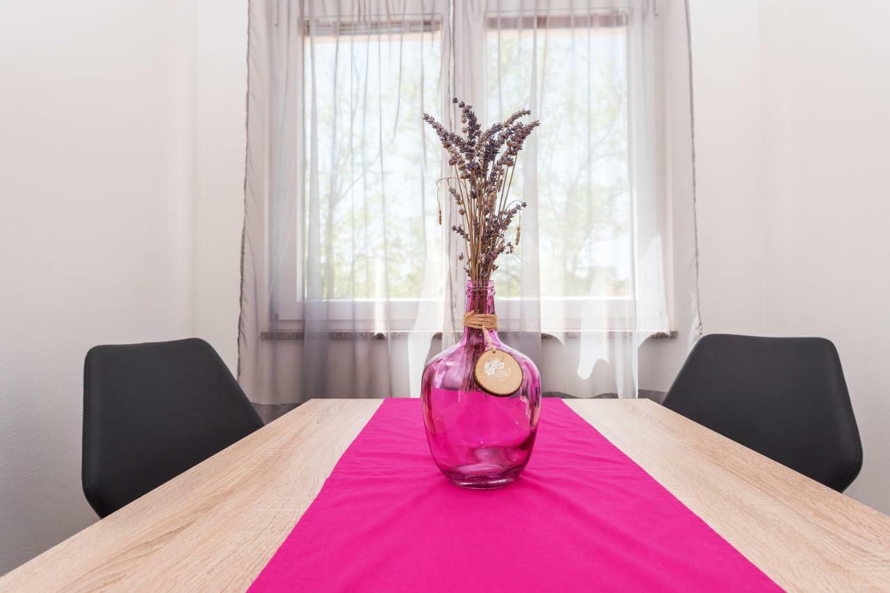 Apartman Micko Privlaka  Εξωτερικό φωτογραφία