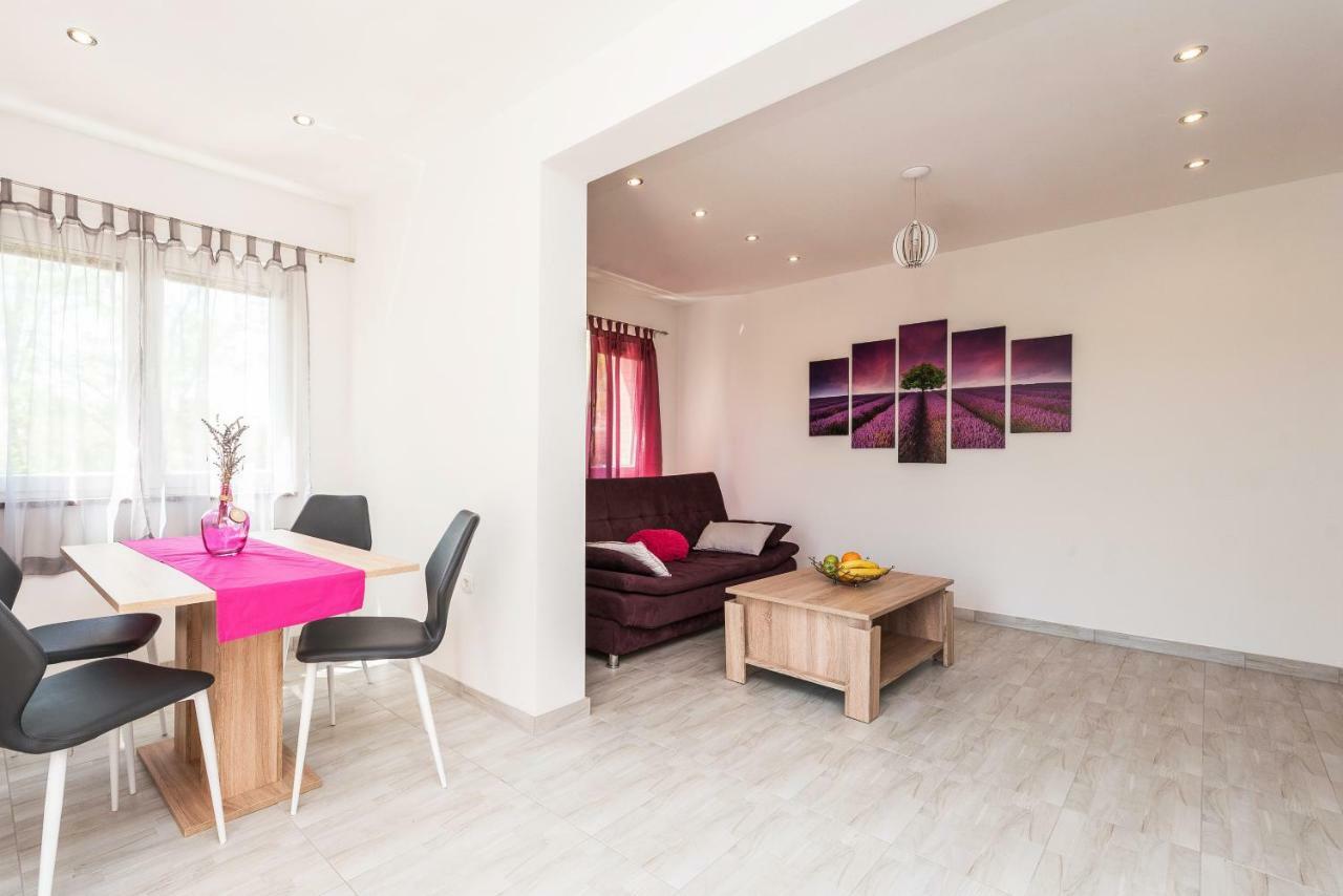 Apartman Micko Privlaka  Εξωτερικό φωτογραφία