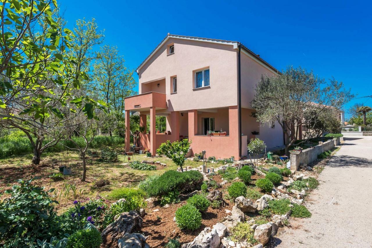 Apartman Micko Privlaka  Εξωτερικό φωτογραφία