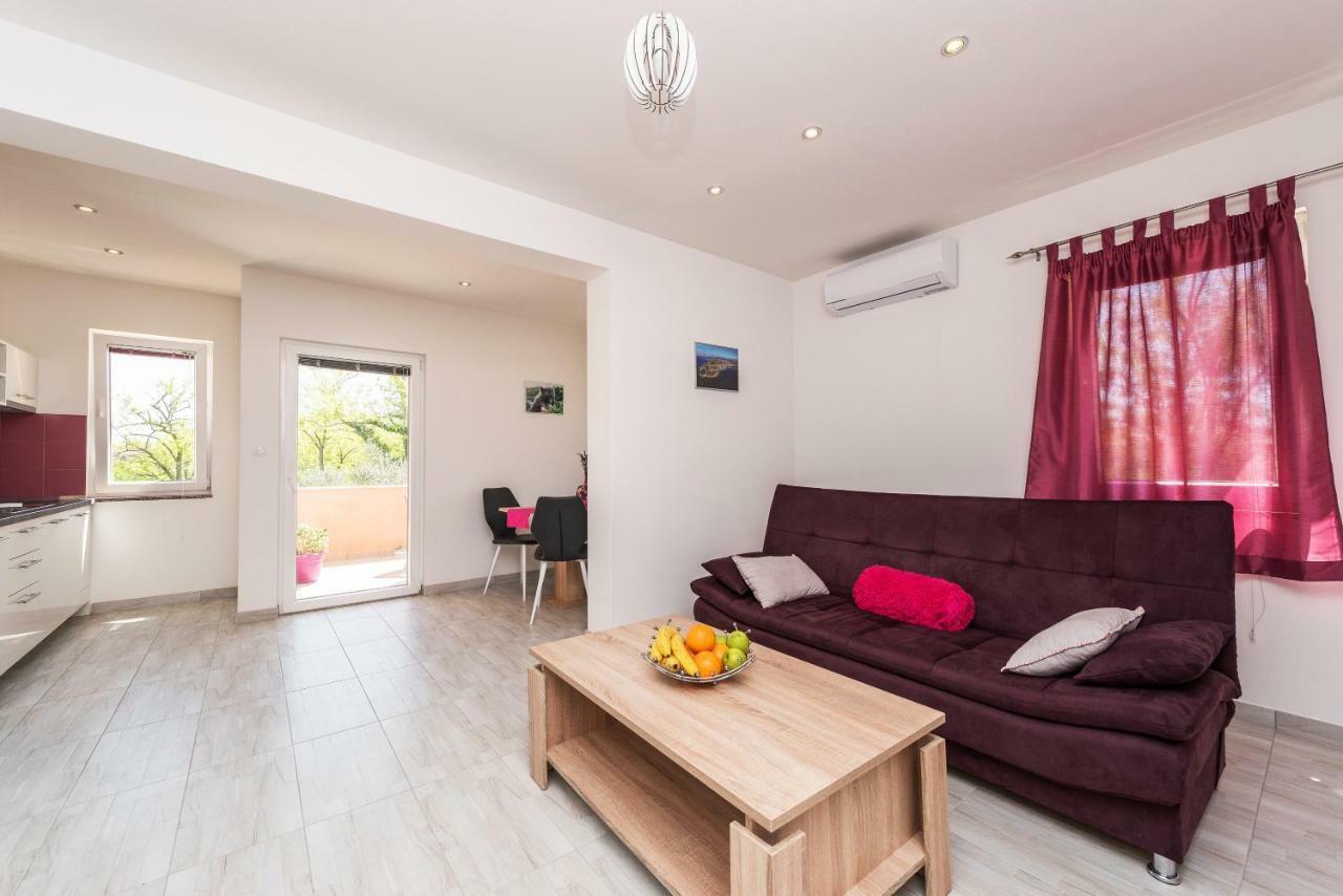 Apartman Micko Privlaka  Εξωτερικό φωτογραφία