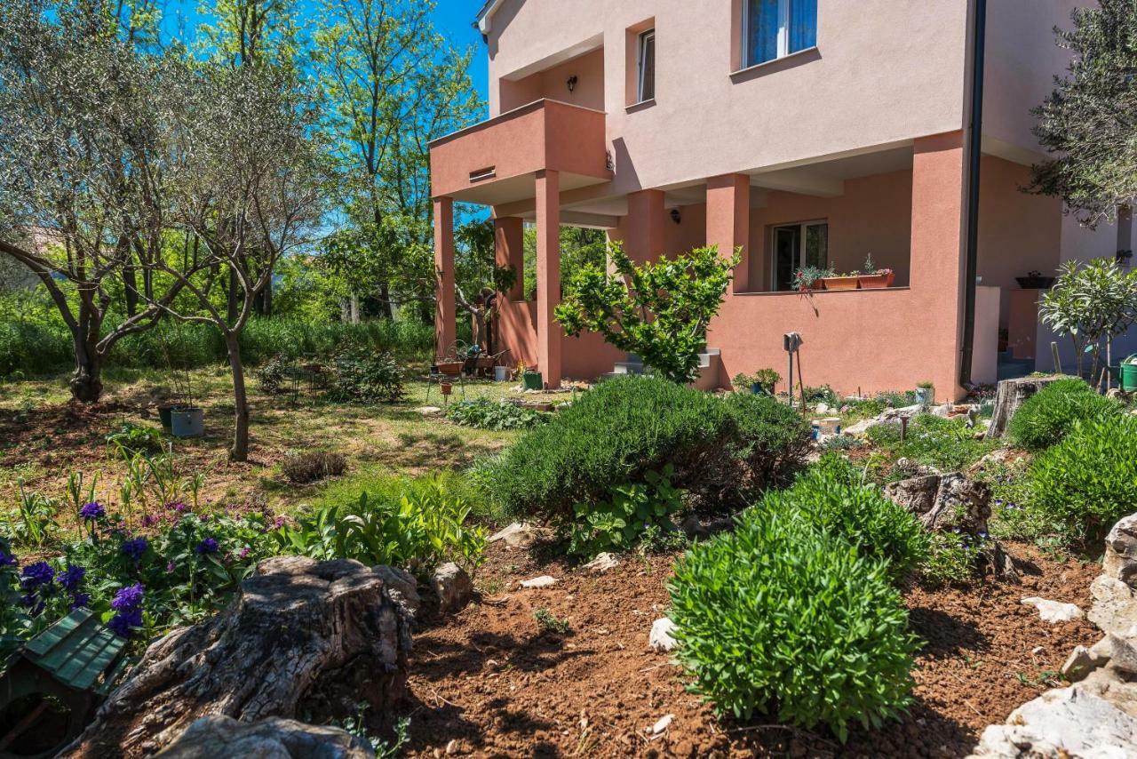 Apartman Micko Privlaka  Εξωτερικό φωτογραφία